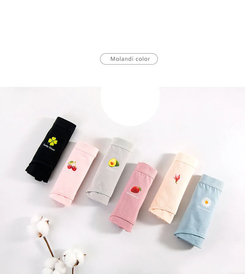 6pcs Women's underwear cotton Panties high waist high quality lingerie breathable wholesale large size 40-90kg cute Briefs