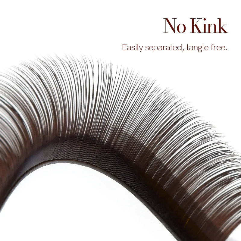 H&L SINCE 1990 12 Rows Dark Brown Individual False Eyelashes Fake Lashes Eyelashes Extensions Supplies Makeup Tools