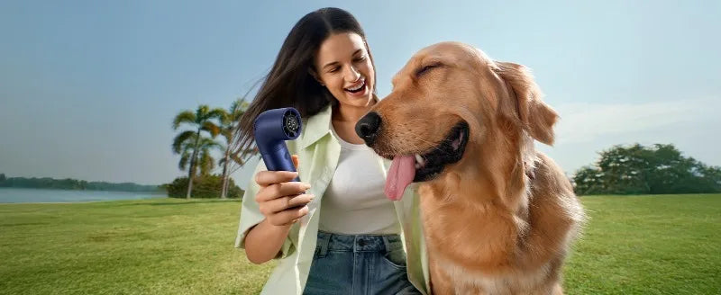 High-speed Violent Wind Gathering Handheld Small Fan Mini Portable Usb Turbo Electric Fan Large Wind Silent Outdoor Camping